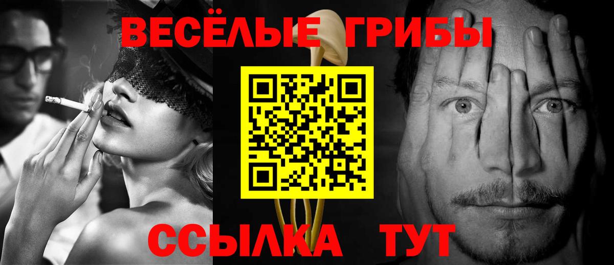 Галлюциногенные грибы Magic Shrooms  Псилоцибиновые грибы Psilocybe  Вход с VPN  Малгобек 