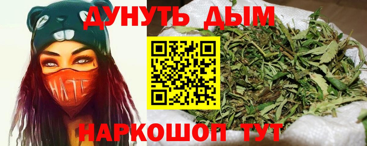 Бошки Шишки семена Малгобек