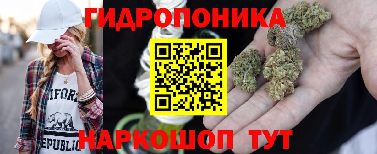 Бошки Шишки семена  Конопля AK-47  Марихуана MAZAR  Малгобек  Вход с VPN 